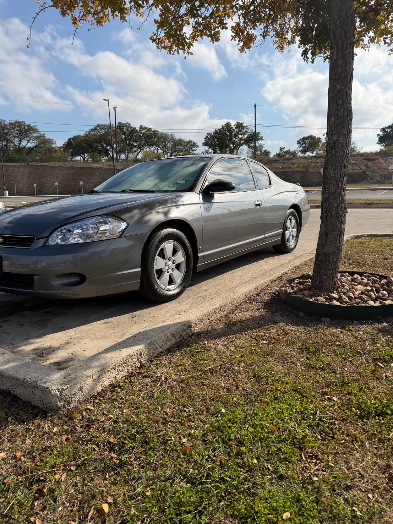 Silver Chevrolet Monte Carlo polished to a clean shine outdoors